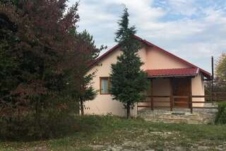 Дома для отпуска CABANA CU MESTECENI Varatec Văratec Дом с 2 спальнями-18